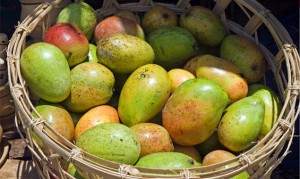 Raw African Mango